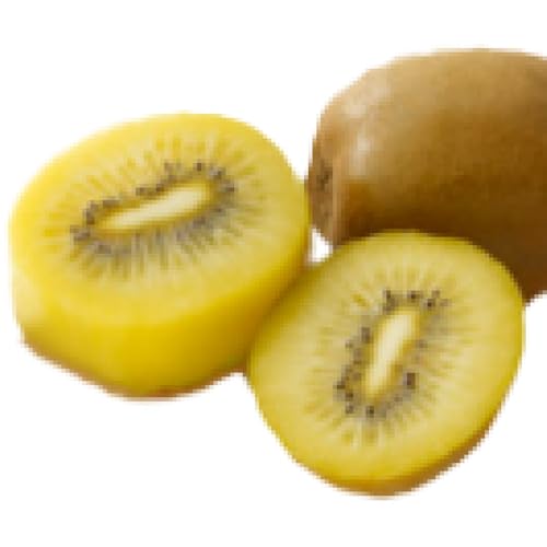 五色青果 香川県オリジナルキウイフルーツ「さぬきゴールド」約 2.5kg[香川県共通返礼品] 果物 フルーツ 青果 青果物 キウイ さぬきゴールド デザート 果実 贈答 贈り物 ギフト 甘い 追熟 ジューシー 糖度が高い 季節のフルーツ 旬 香川県 三木町