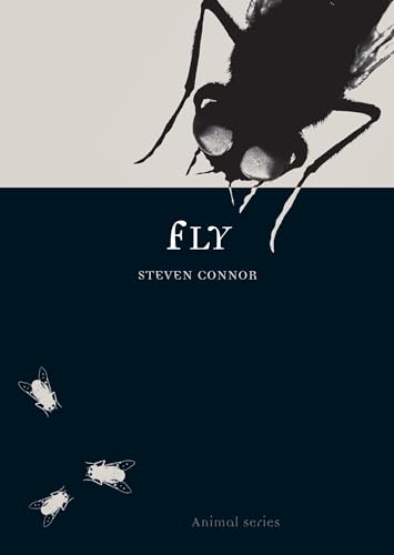 Fly (Animal) view 2