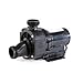 Balboa Water Group Pump: Gemini Plus Ii 120V Without Airswitch