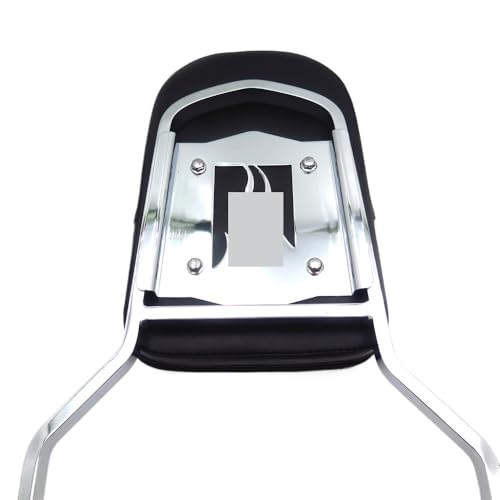 Dossier Passager Moto Coussin Finition Premium pour Shadow Ace 1100 - 3