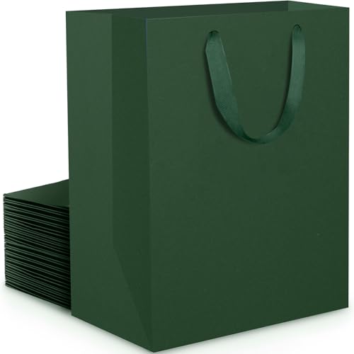 EUSOAR Geschenktüte Grün - 20 Stück Green Gift Bags M 20x10x28 cm - Papiertüten mit Henkel Grünes Mittel - Einkaufstüte Tragetasche Dunkelgrün - Papiertragetaschen für Jahrestag Weihnachten