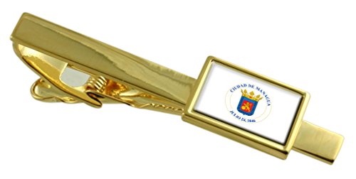 Bandera de Managua Nicaragua clip de corbata grabado para regalo institucional
