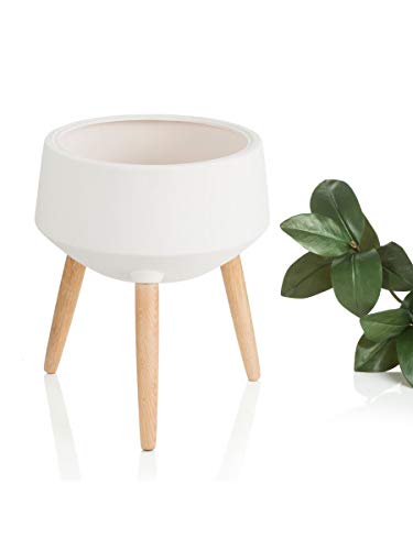 MONTEMAGGI Planta de la Conca de la Puerta con Patas de Madera l?nea Oslo p