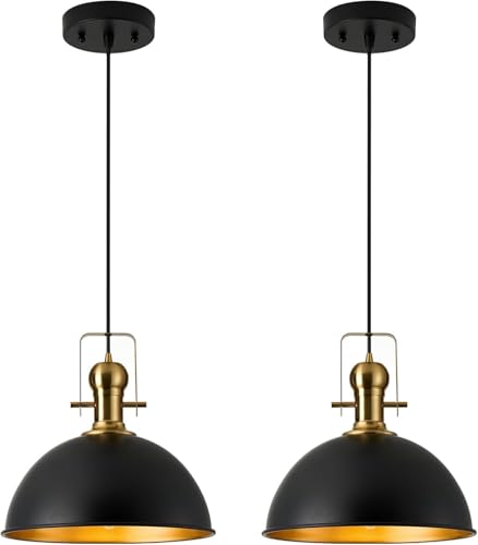 2x Lampe suspendue sans fil rechargeable lampe LED industrielle avec télécommande, suspension à piles métal abat-jour, lumineux 9 couleurs dimmables, lampe de salon...