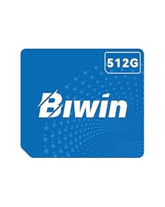 BIWIN CL100 Mini SSD 512GB - PCIe Gen4×2 NVMe 1.4 - Ultra-kompakte SSD in mit 3700 MB/s Lesen & 3400 MB/s Schreiben - IP68 Wasserdicht Stoßfest für Ultrabooks/Mini-PCs/Handhelds