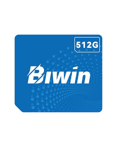 BIWIN CL100 Mini SSD 512GB - PCIe Gen4×2 NVMe 1.4 - Ultra-kompakte SSD in mit 3700 MB/s Lesen & 3400 MB/s Schreiben - IP68 Wasserdicht Stoßfest für Ultrabooks/Mini-PCs/Handhelds
