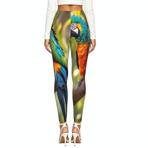 Leggings de plumas de loro: dile adiós a las prendas que clarean 4