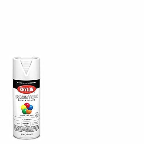 Image of Krylon K05548007 COLORmaxx Spray Paint and Primer for Indoor /Outdoor Use, Flat White, 12 Ounce (Pack of 1)