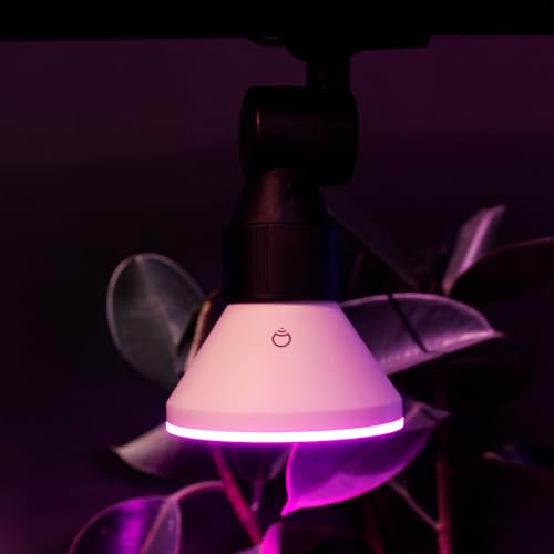Image of LIFX Smart Flood Light Bulb PAR38 E26 (1 Pack), Color Changing RGB + Warm White 1600 Lumens 150W Equivalent Tunable LED, 90+ CRI, Matter Compatible, Apple HomeKit, Alexa & Google Home Dimmable
