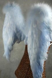 Blue Angel Wings 27 x 23