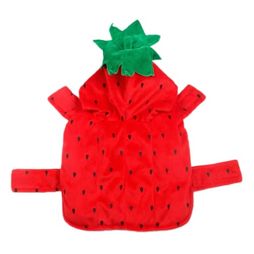Fantasia de cachorro de Halloween com morango, fantasia de animal de estimação com morango - Roupa d