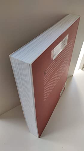 Mecânica para Engenharia Vol.II - Dinâmica