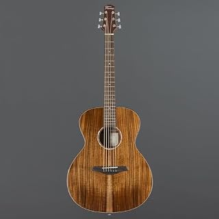 Fame SP-K GA - Guitare Acoustique – Image 2