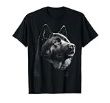 DogtastiQ