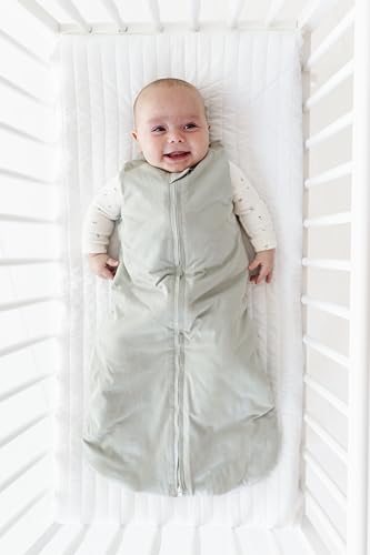 Image of Ely's & Co. Winter Sleep Sack, Wearable Blanket with Soft Quilting, Transitional Swaddle for Baby Boy /Girl, 1.0 TOG