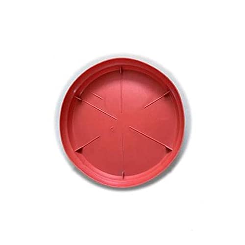 mastBus 7 Pcs 14 Inches Plant Saucer, Plastic Plant Tray, Plant Trays for Pots, Round Plastic Plant Saucers for Indoors, Flower Pot Saucer, Plant Pot Saucers, Plant Saucer (B09GM8Q9JZ) Amazon Price History, Amazon Price Tracker