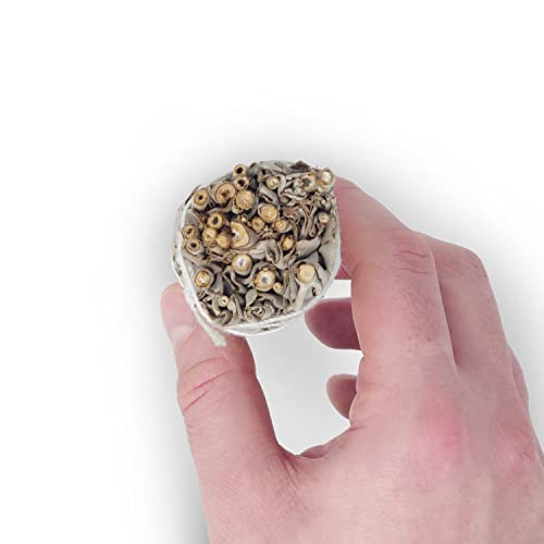 Seedzbox White Sage Smudge Sticks, Set di