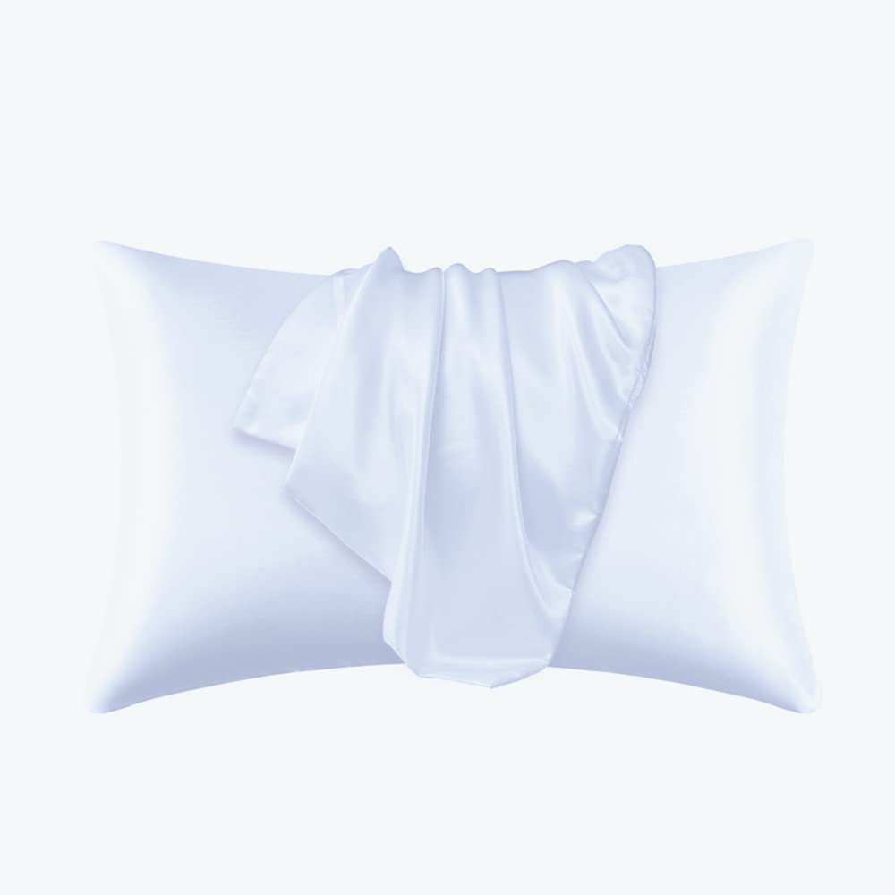Luxury Satin Silk Pillow Case 2 Pack Pillowcase for Hair and Skin Satin Pillow Covers with Zipper Closure (Queen(20