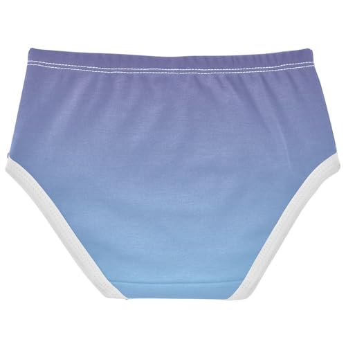 Joisal Cotton Girls Underwear Toddler Violet Sky Blue Gradient Panties for Girl Florals Underpants Briefs 2t2