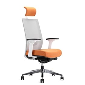 EasyErgo Apollo Ergonomic Chair - Ergo Mesh Design for Computer Desk Work - Comfortable Office Chair with Detachable… 31f5JFmDfnL. SS280