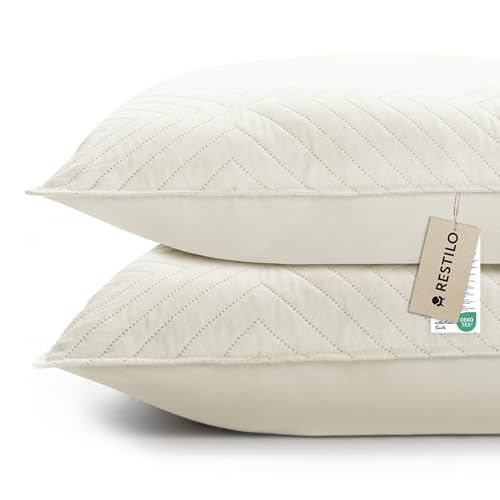 RESTILO Juego de 2 fundas de cojín decorativas de 50 x 70 cm, color beige, con acolchado ultrasónico suave, ideal para sofá, dormitorio, salón, de terciopelo