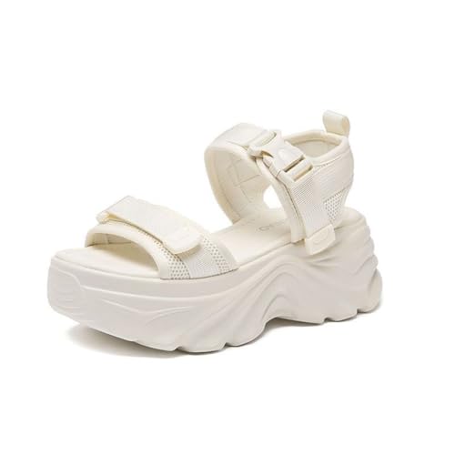 [mxcgzl]  X|[cT_ fB[X ₷ T_ 7CMq[ {[\[ }WbNe[v y   Ȃ  ItBX ؍ SANDALS62902 (x[W, 22.5 cm)