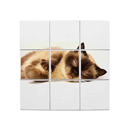 Carreaux céramique chaton siamois décoratifs 20x20 cm pour fresque murale de salon
