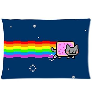 Nyan Cat 20X30 Two Sides Custom Cotton & Polyester Pillow Case Cover Cushion Cover Model: CHH-0339 (Build-to-Order)