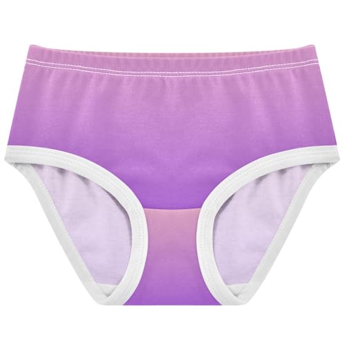 Joisal Cotton Toddler Underwear Floral Blush Pink Blue Violet Gradient Cute Panties Girl Cartoon Briefs Girls Undies 2t