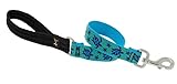 LupinePet 1-Inch 2-Feet Traffic Lead, Turtle Reef