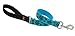 LupinePet 1-Inch 2-Feet Traffic Lead, Turtle Reef