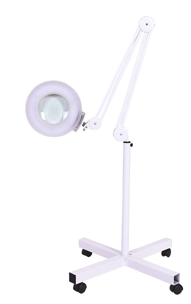 Lampe loupe 5X lampe de plancher blanche 22W 6500K pour soin beauté maquillage tatouage