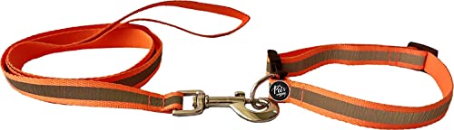 Image of The Pets Company Reflective Leash Collar Set for Medium Dogs, 4 Feet 20 MM, Orange