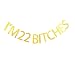 I'm 22 bitches banner for 22nd birthday decorations