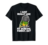 Senegal Parrot Poicephalus Senegalus Ideas