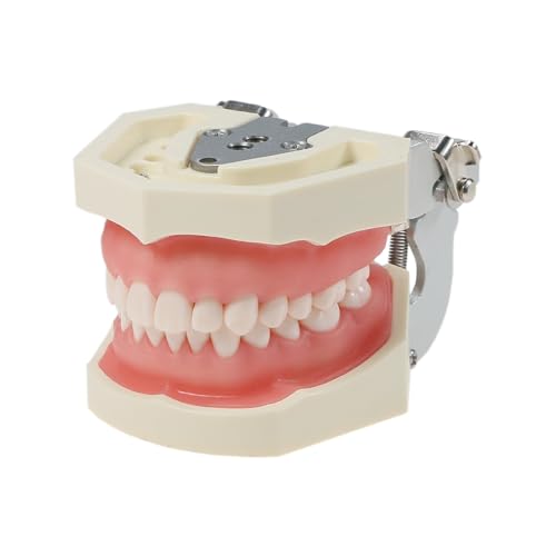 Anseven Kilgore Nissin 200 Type