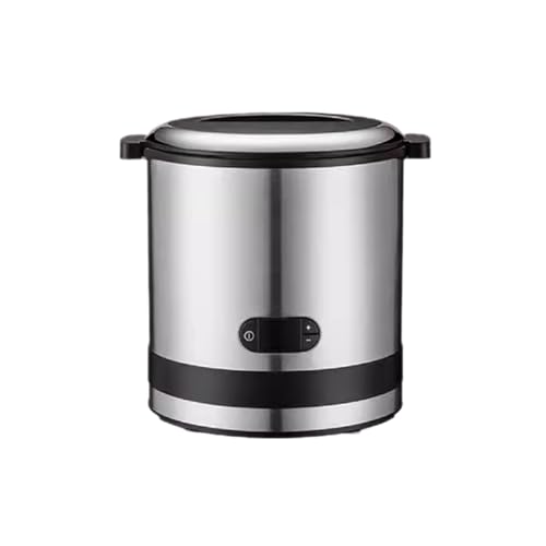 Máquina de helado pequeña y mini heladera casera para frutas y postre congelado dulce 2