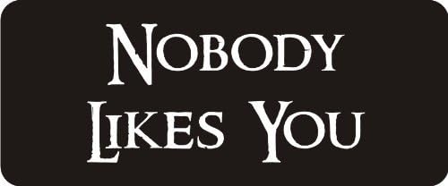 3 - Nobody Likes You 1 1/4" x 3" Hard Hat Biker Helmet Stickers Bs433