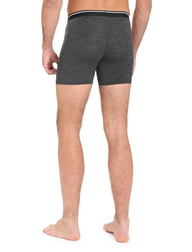 Icebreaker Men's Merino 150 Anatomica Boxers with Fly2