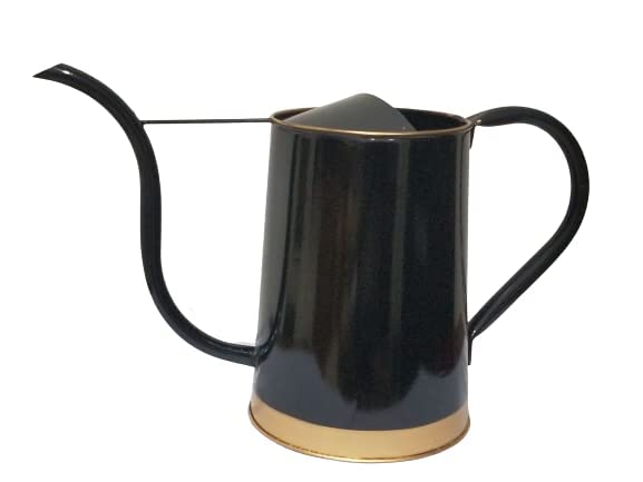 Aarav 2 litres Long Sprout Watering Can for Plants | Color: Black | Garden Watering Can | Outdoor and Indoor Plants | for Living Room, Balcony and Home Garden | Durable and Sturdy (Sprout_Black) (B0BT9Q15V6) Amazon Price History, Amazon Price Tracker