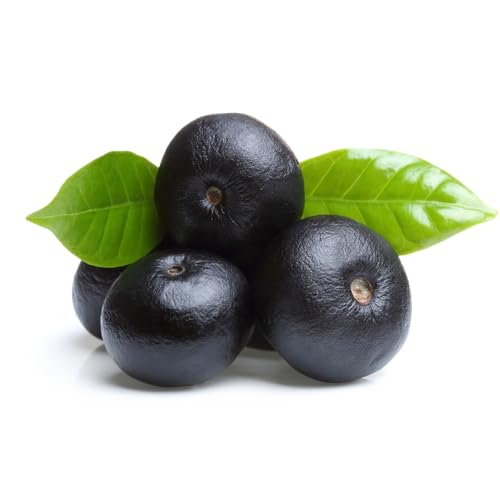 AMK Jardinagem e Paisagismo, Muda de Acai 20 a 40cm AMK - Plantas Online