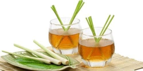 Lemongrass 6 Live each 4-7 Inch Tall Fully Rooted