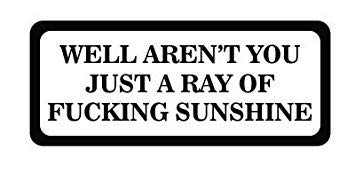 3pcs Well Arent You Just a Ray of Fing Sunshine Funny Hard Hat/Helmet Vinyl Decal Sticker