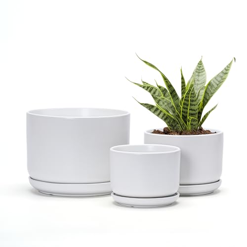 Ton Sin Plant Pots, 4.1+5.1+6.5 inch, Set of 3, Ceramic Planters with Drainage Hole and Saucer, Indoor Flower Pot with Drainage Hole, Gifts for Mom(Matte White)