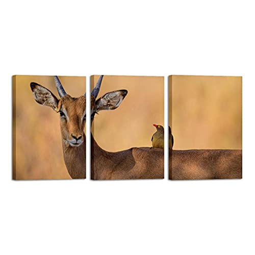 Tableau oiseau poétique et antilope pour une maison sereine