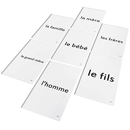 192 French Beginning Vocabulary Flash Cards With Original Artwork - For All Ages #TOP5