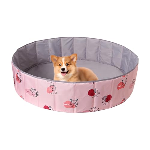 Ԃ̂߂̃{[sbgAȃ{[sbg,OQ[p̃{[v[ | IbNXtH[h̕z|[^uƐ܂肽݉\ȑ傫ȃv[vC[hAxr[vCyAtFX