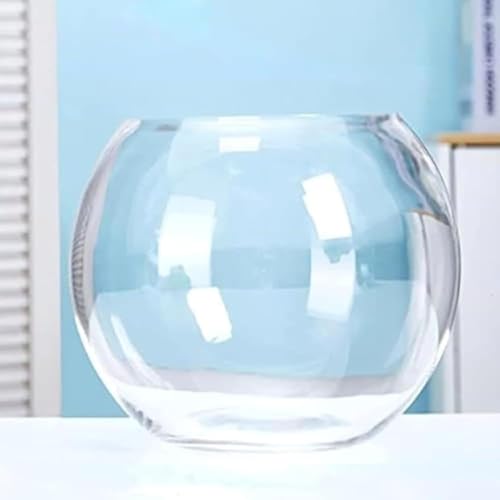 Ladfrol ItBX ^ KX J rO ی^ ^ (20cm)