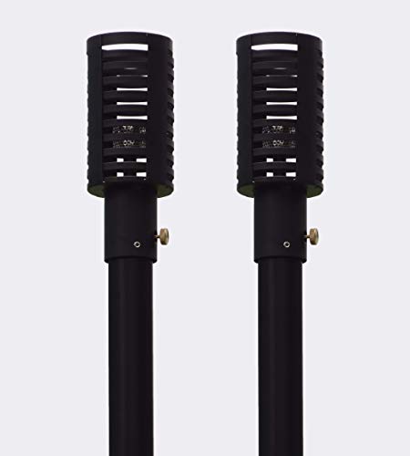 Big Kahuna Gas Tiki Style Torch - Exotic Propane or Natural Gas Lamp Includes a 82” Black Steel Pole for Easy Set Up - Permanent Outdoor Lights are Great for Landscape Lighting, Set of 2 (Industrial)