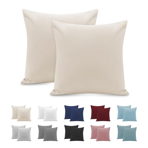 Federe Cuscini Letto Matrimoniale 65x65cm, Set 2 Federe Oeko-TEX in Premium Microfibra 110GSM con Invisibile Cerniera, Morbida e Traspirante, Ipoallergenica - Beige